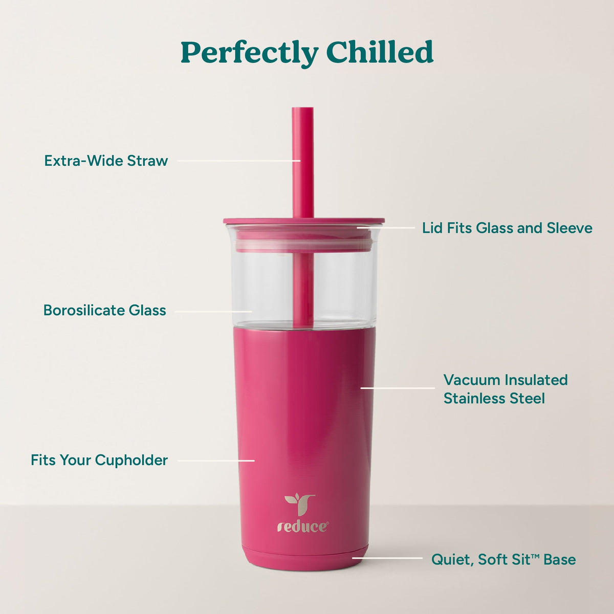 aspen-20-oz-e7 Aspen_Dragonfruit_PDP_Infographic2.jpg