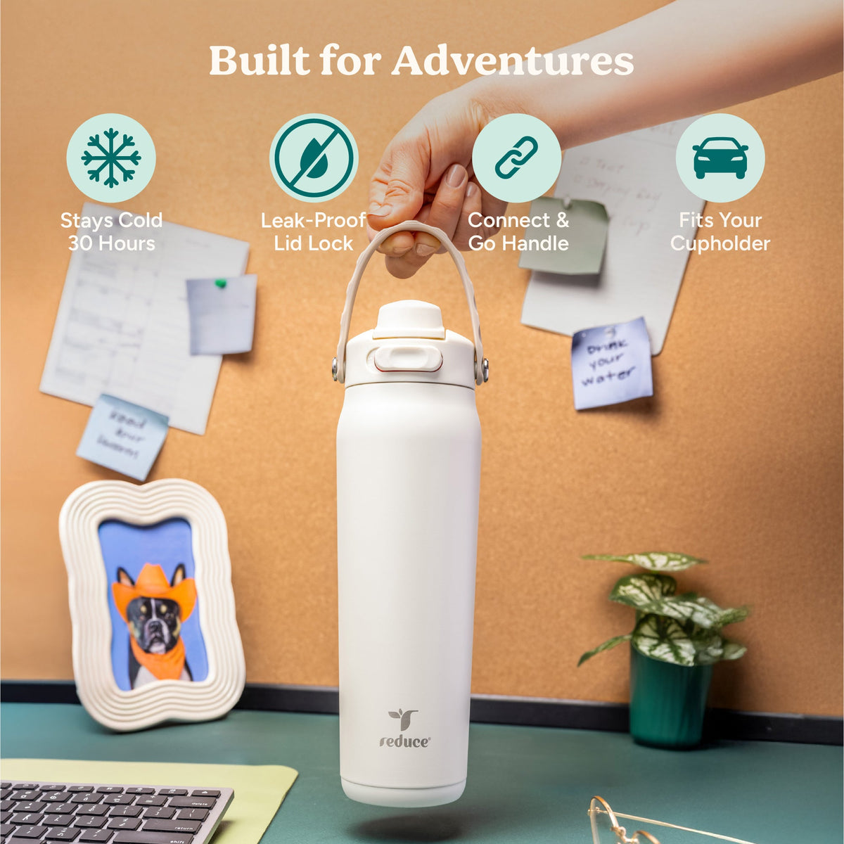 aura-26-oz-p4 Aura_26oz_Unbleached_PDP_Infographic_1.jpg