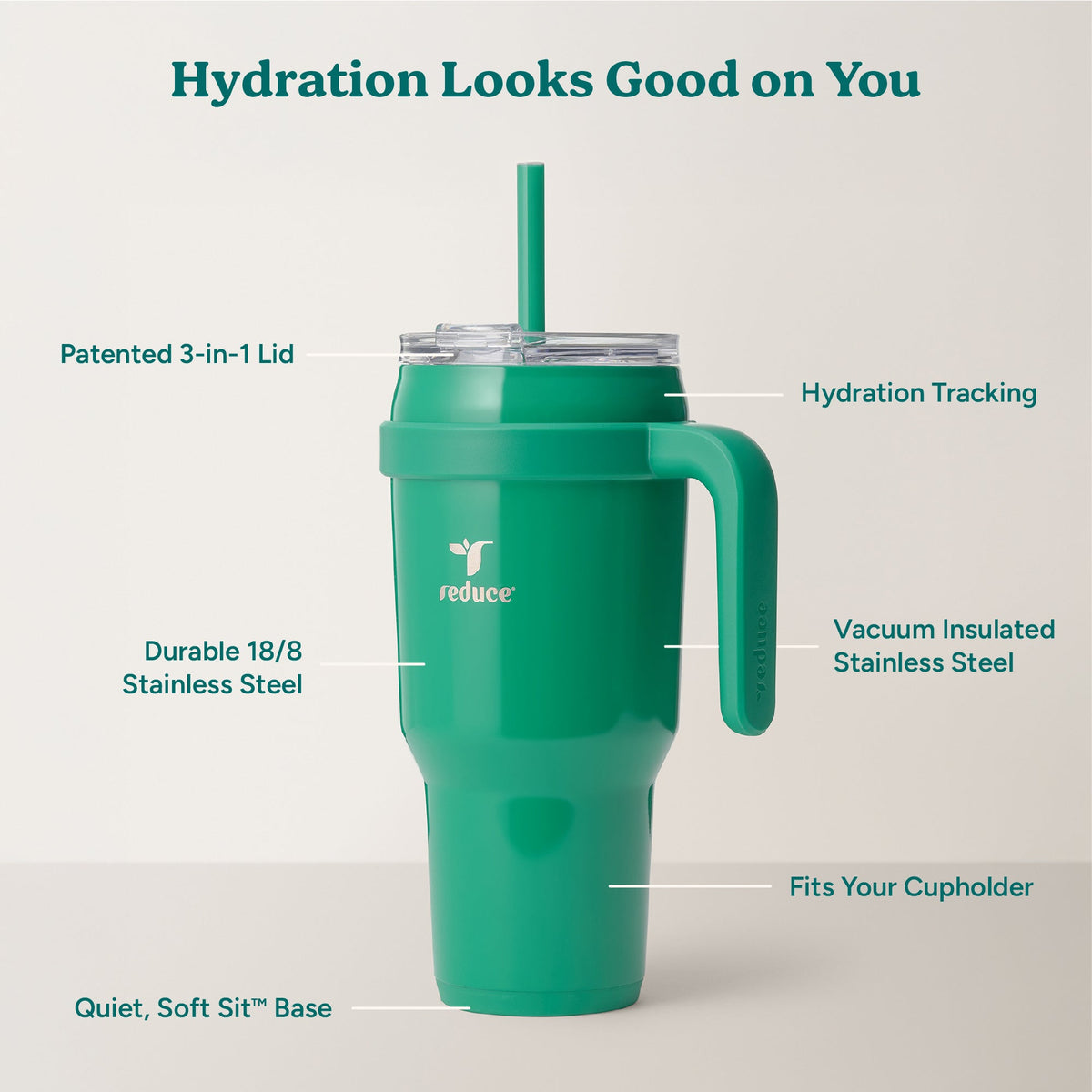 cold1-40-oz-m4 Cold1_40oz_PalmLeaf_Infographic_2.jpg
