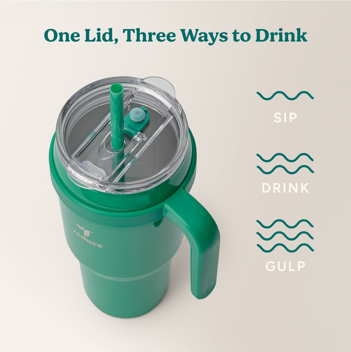 cold1-40-oz-m4 Cold1_40oz_PalmLeaf_Infographic_3.jpg
